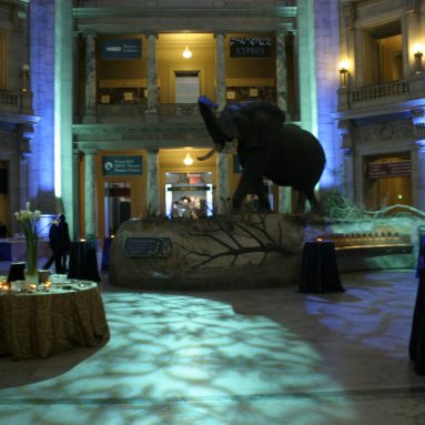 Natural History Museum