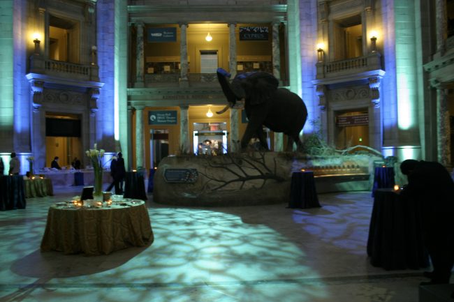 Natural History Museum